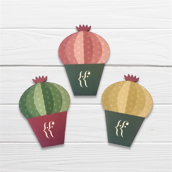 Kit 3 Calamiche in legno Cactus 