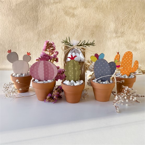 Bomboniere artigianali Cactus Mignon in legno
